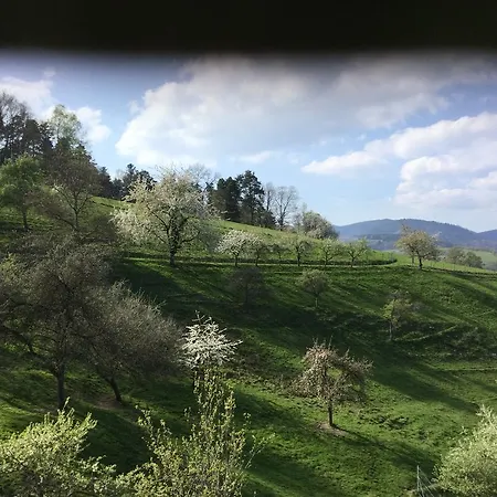 Du Sobach 2* Sainte-Croix-aux-Mines
